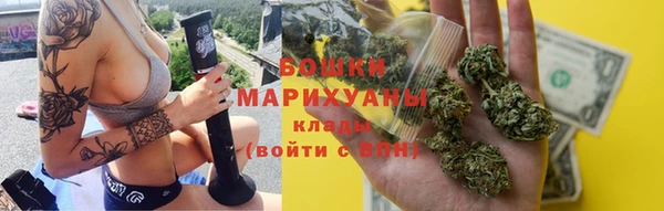 СК Вязьма