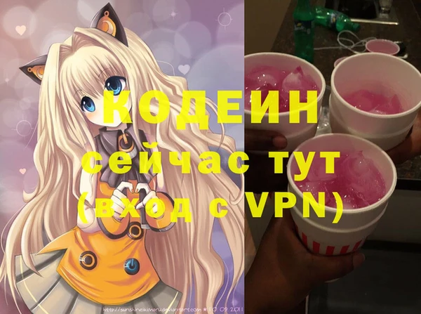 СК Вязьма