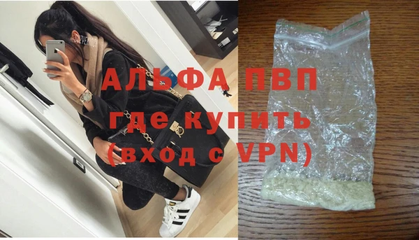 СК Вязьма