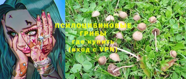 альфа пвп Вяземский