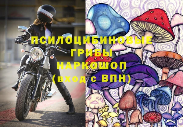 Альфа ПВП Вязники