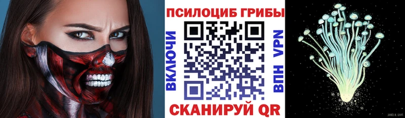 Галлюциногенные грибы GOLDEN TEACHER  где купить наркоту  Невинномысск 