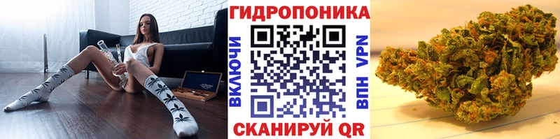 Канабис семена Невинномысск